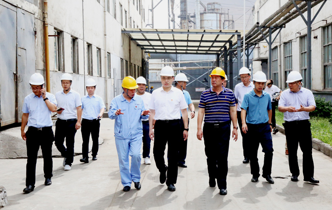 新安縣委副書記、縣長王智一行到萬基控股集團調研